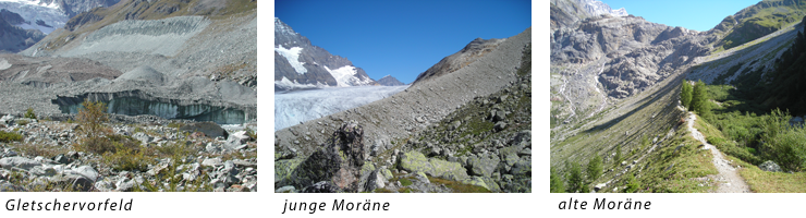 Gletschervorfelder und Moraene