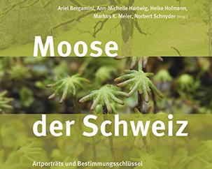 moosederschweiz